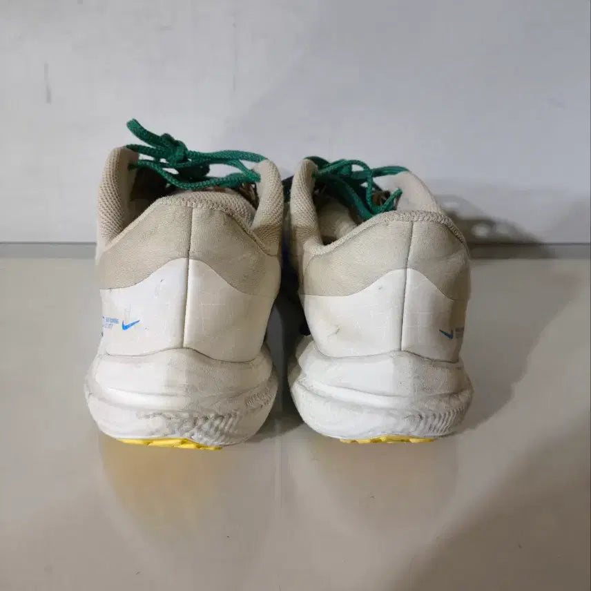 [BUNJANG] Nike Winflo 9 PRM Running Shoes / 280mm 나이키 윈플로 9 prm 런닝화