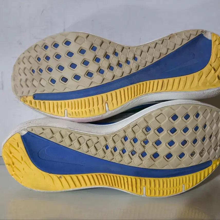 [BUNJANG] Nike Winflo 9 PRM Running Shoes / 280mm 나이키 윈플로 9 prm 런닝화