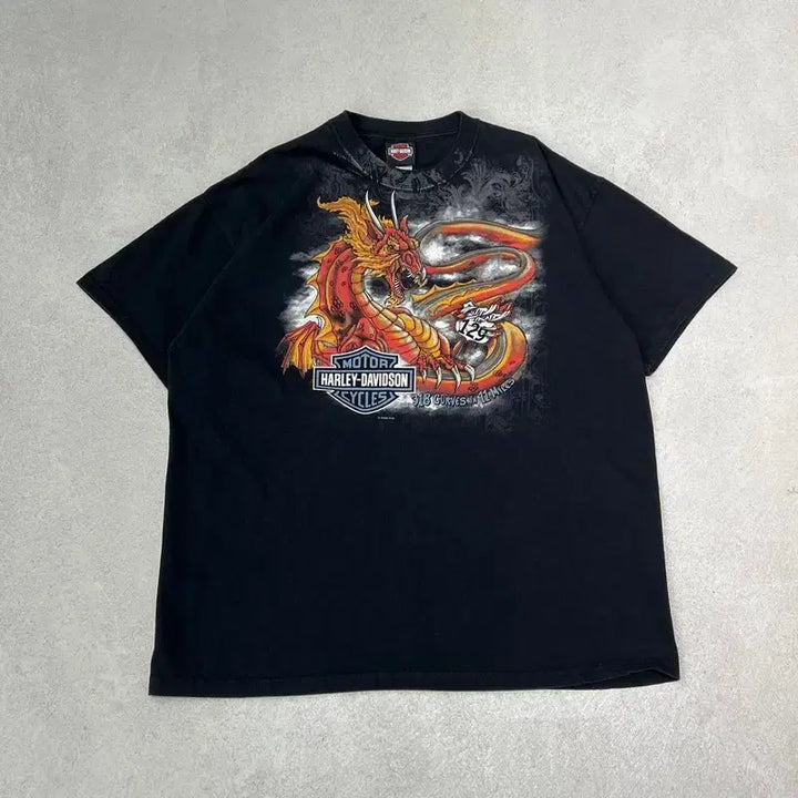 [BUNJANG] Harley-Davidson Printed T-shirt / usa 할리데이비슨 프린팅반팔티 s09934