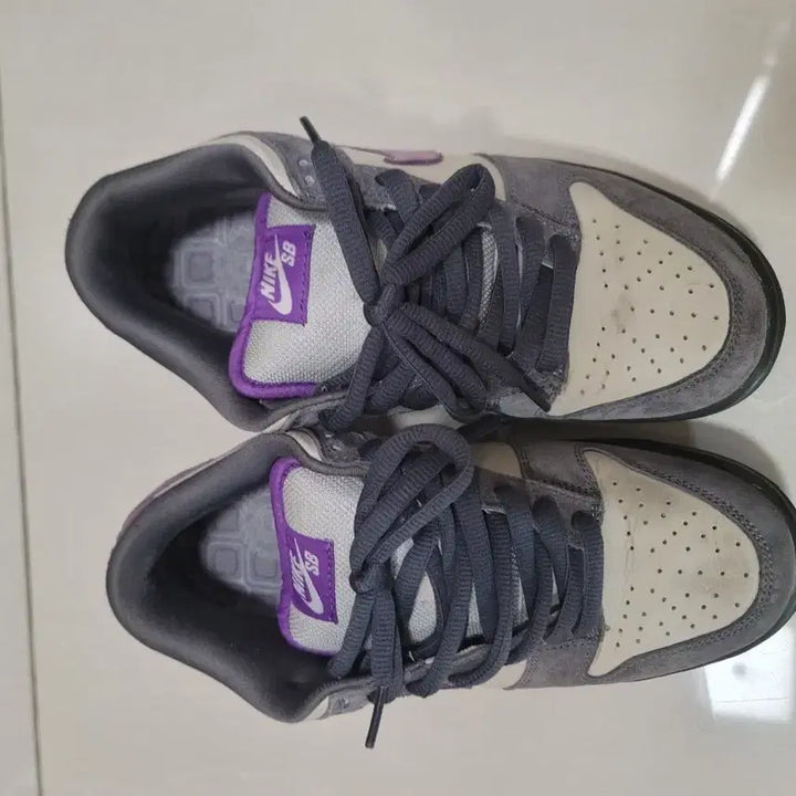 [BUNJANG] Nike Dunk Low Pigeon Purple Sneakers / 나이키 덩크 피존퍼플