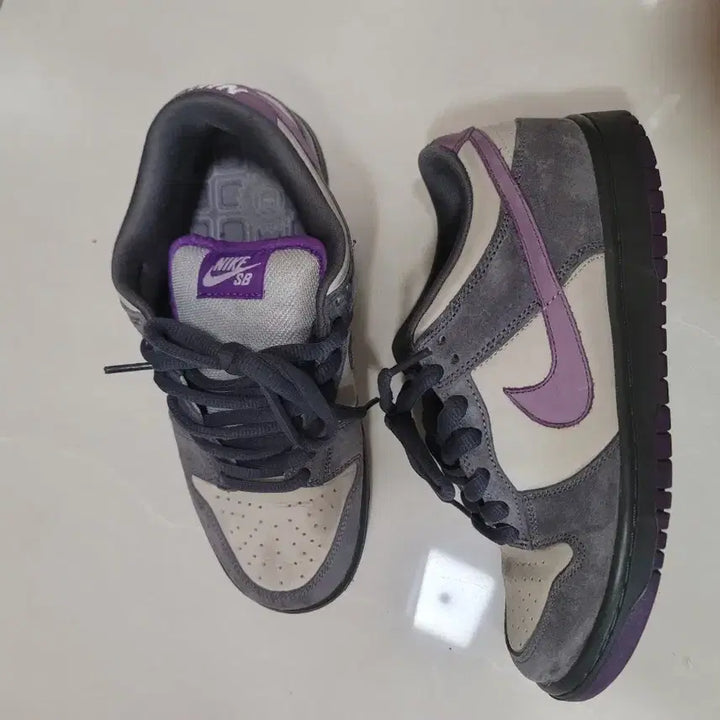 [BUNJANG] Nike Dunk Low Pigeon Purple Sneakers / 나이키 덩크 피존퍼플