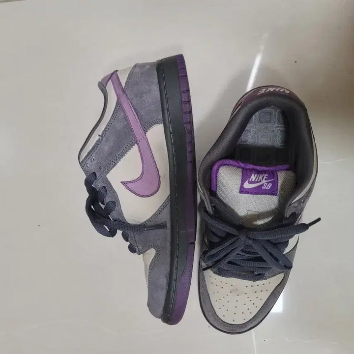 [BUNJANG] Nike Dunk Low Pigeon Purple Sneakers / 나이키 덩크 피존퍼플