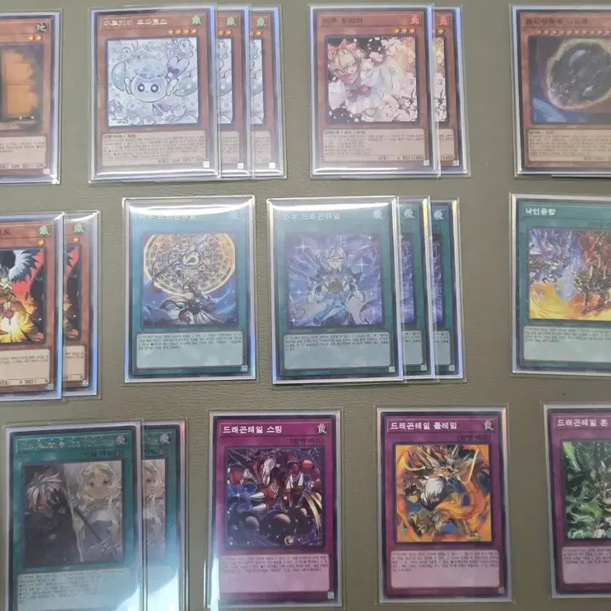 [BUNJANG] Yu-Gi-Oh! Branded Dragon Tail Bundle Set / 유희왕 낙인 드래곤테일 완덱/덱소스 일괄 판매합니다.