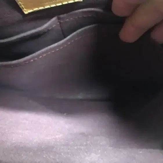 [BUNJANG] Louis Vuitton Bag / 루이비통 가방