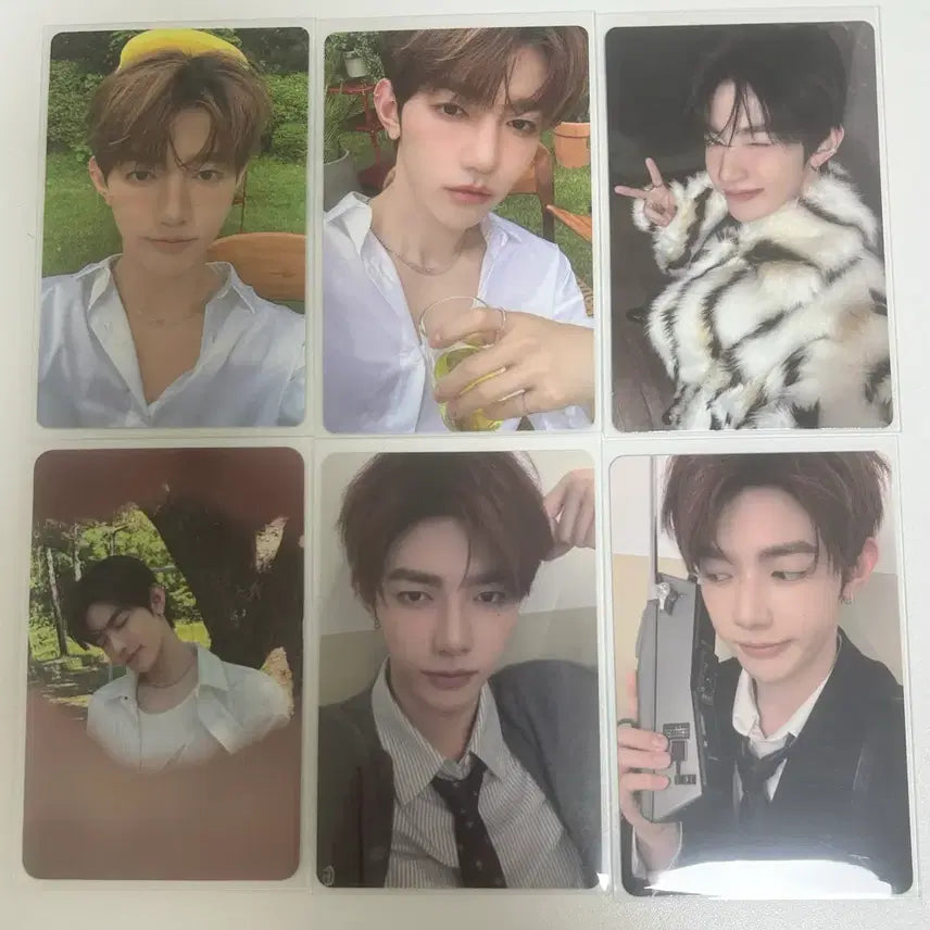 [BUNJANG] Zhang Hao Bundle Set Photocard / 장하오포카(일괄)
