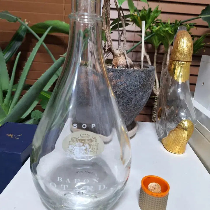 [BUNJANG] Baron Otard VSOP Empty Bottle / 바롱 오타드 VSOP 공병