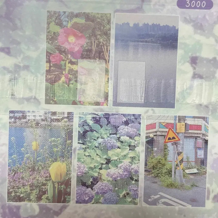 [BUNJANG] Various Decorative Papers Bundle Set / 다꾸 모조지 100장 일괄
