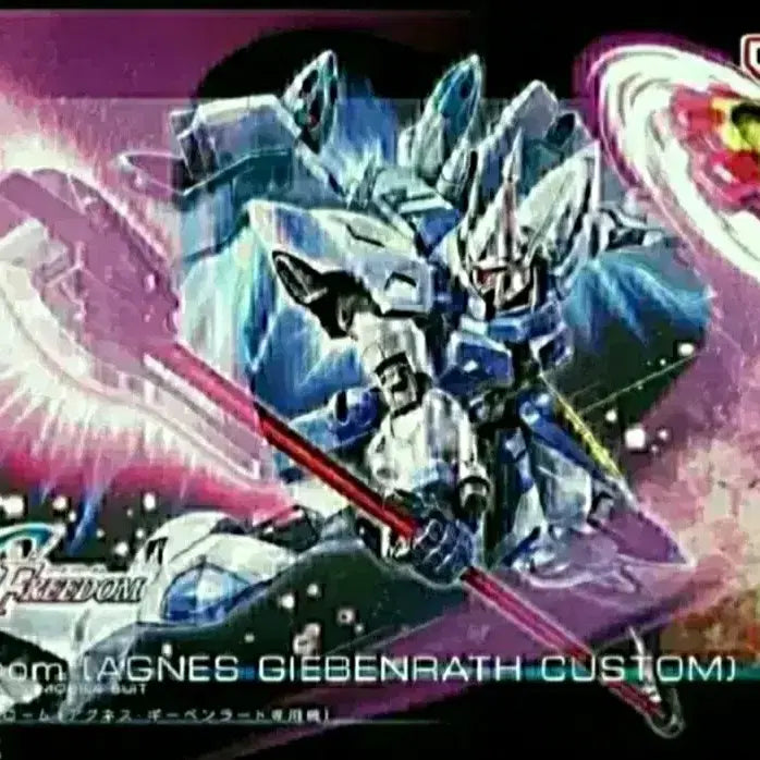 [BUNJANG] HG Gyan Strom Agnes Gihenrath Custom Model Kit / HG 걍 슈트롬 아그네스 기벤라트 전용기 프라모델 시드 피규어 일본 재팬