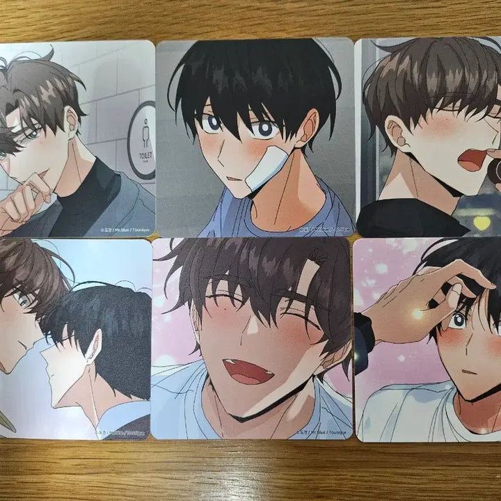 [BUNJANG] New Married Couple Coaster Set / 신혼부부 특별전형 코스터 6종 세트 신특