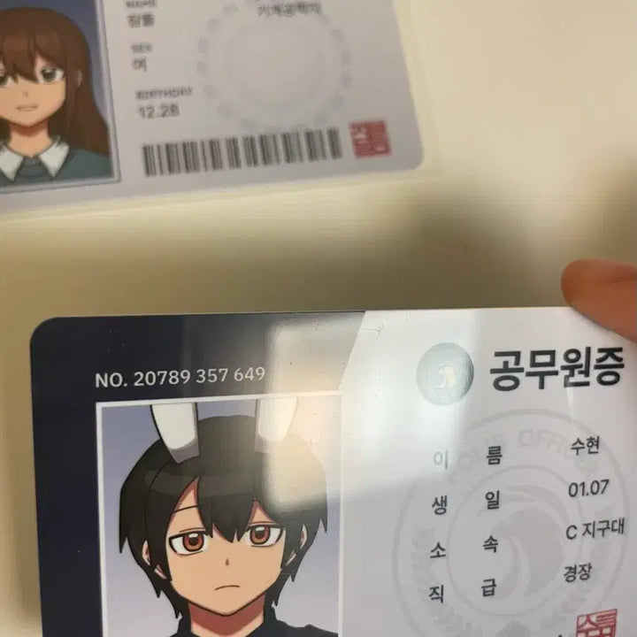 [BUNJANG] Sleepground ID Card Bundle Set / 잠뜰 아이디카드 일괄