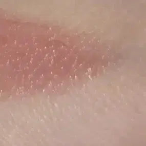 [BUNJANG] Kate Lip Monster 15 Lipstick / 케이트 립 몬스터 15호 33000ft