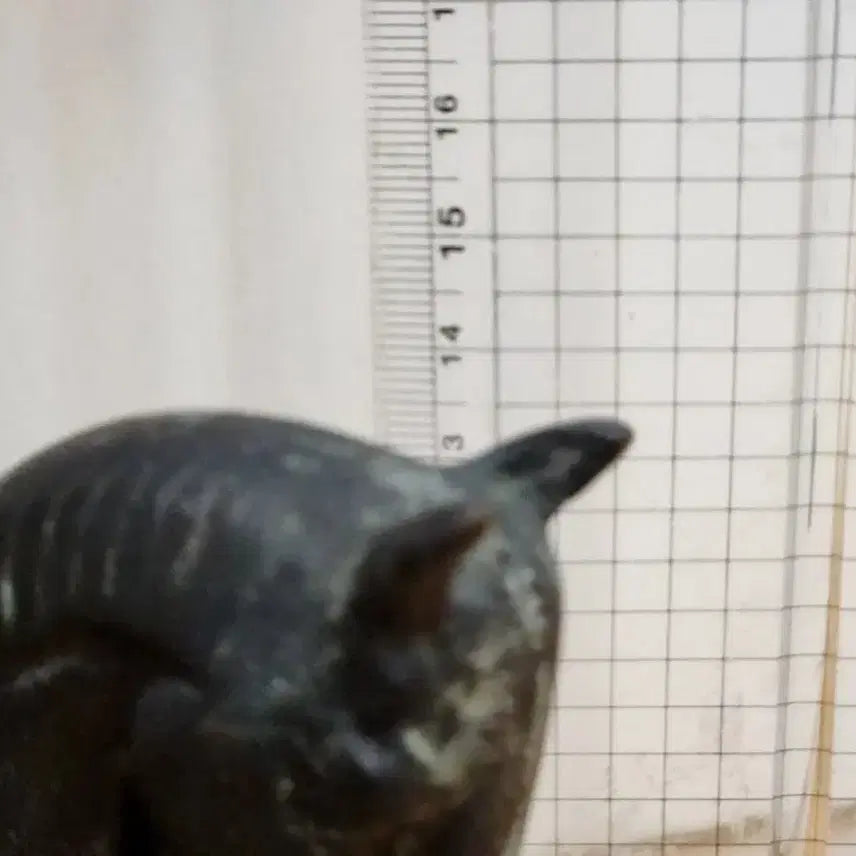 [BUNJANG] Antique Horse Statue Set / 고풍스러운 말 동상 2개 세트