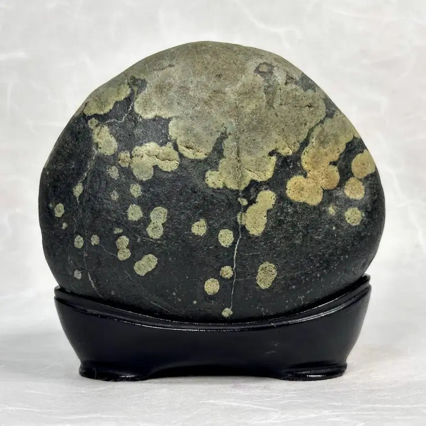 [BUNJANG] Black Grape Stone / 흑포도석 수석