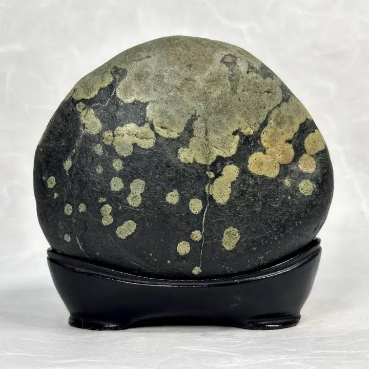 [BUNJANG] Black Grape Stone / 흑포도석 수석