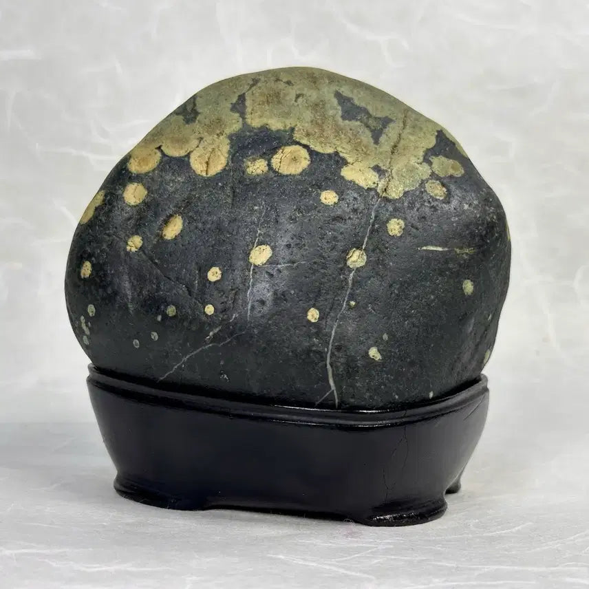 [BUNJANG] Black Grape Stone / 흑포도석 수석