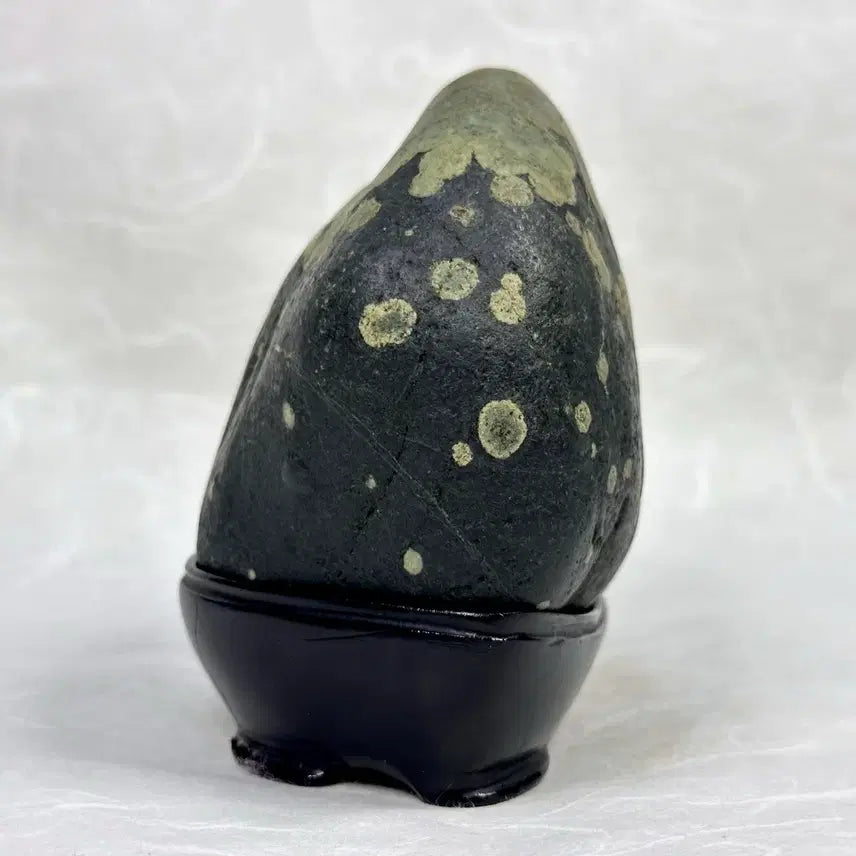 [BUNJANG] Black Grape Stone / 흑포도석 수석