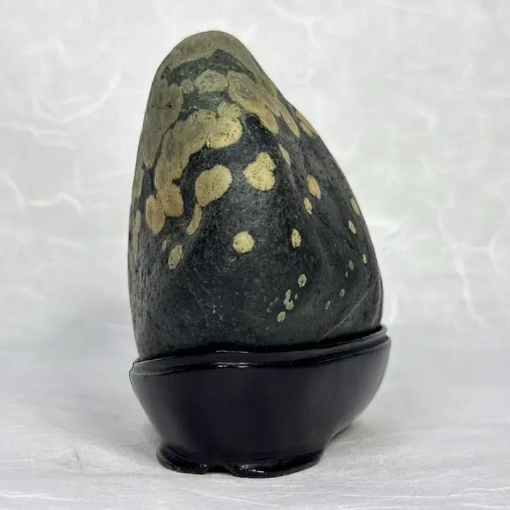 [BUNJANG] Black Grape Stone / 흑포도석 수석