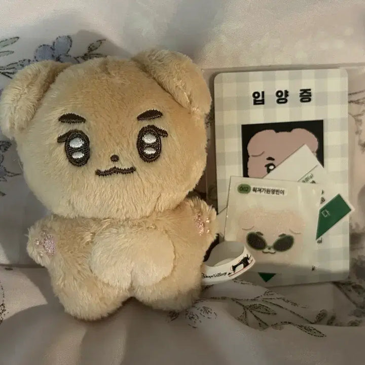 [BUNJANG] ZEROBASEONE Kim Gyu Vin Mungbin Doll / 제로베이스원 제베원 김규빈 규빈 인형 멍빈이