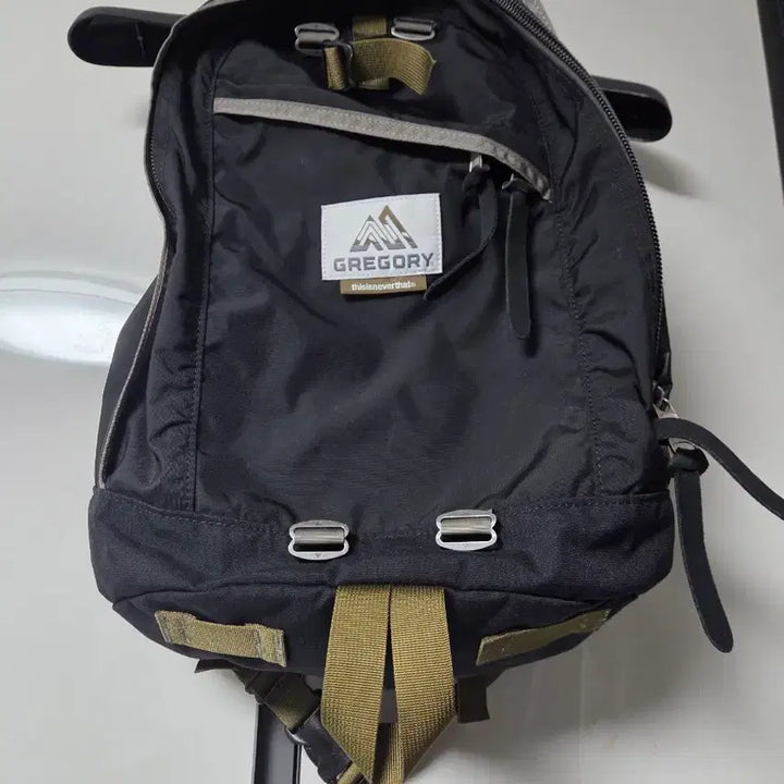 [BUNJANG] Thisisneverthat x Gregory Daypack Backpack / 디스이즈네버댓 그레고리 데이백