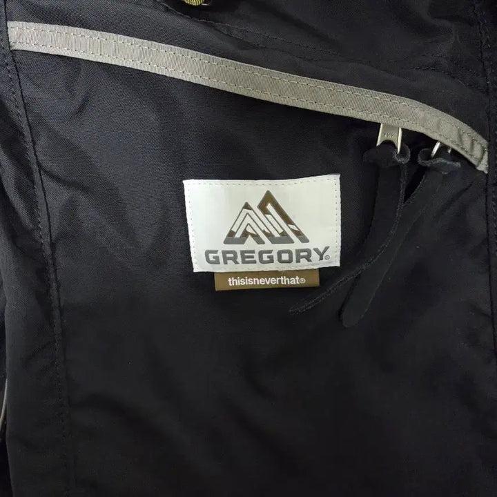 [BUNJANG] thisisneverthat Gregory Daypack Backpack / 디스이즈네버댓 그레고리 데이백