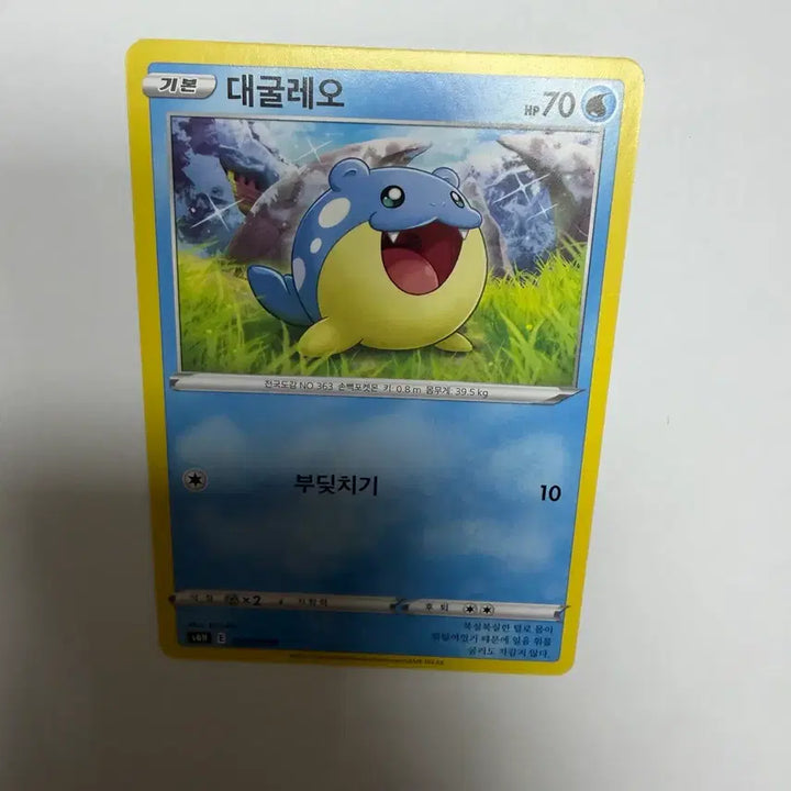 [BUNJANG] Pokemon Card - Daegulleo / 대굴레오 포켓몬카드