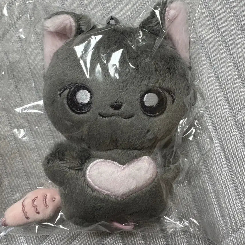 [BUNJANG] RIIZE Wonbin Bbiyangi Doll / 라이즈 원빈 인형 삐냥이 양도