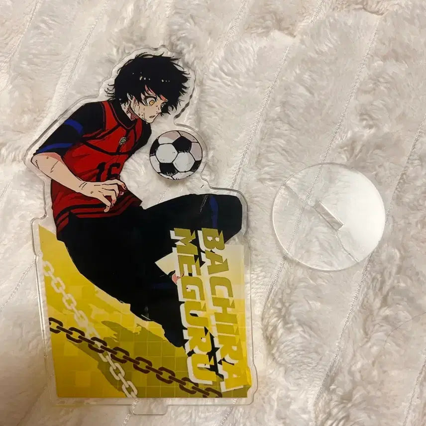 [BUNJANG] Bachira Acrylic Stand / 바치라 아크릴