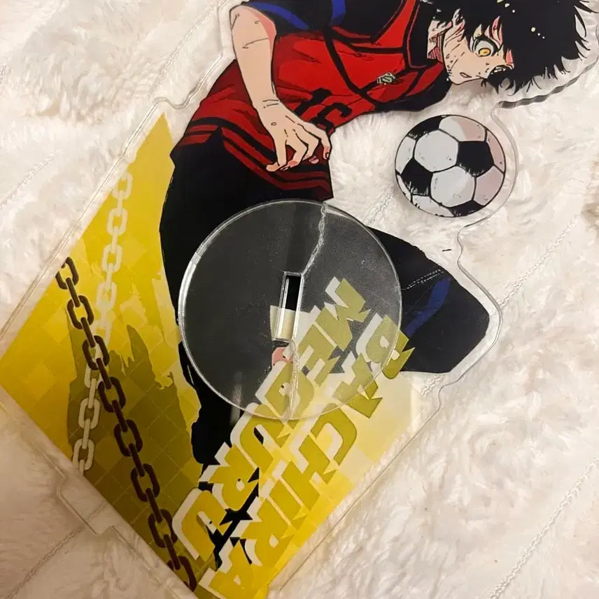 [BUNJANG] Bachira Acrylic Stand / 바치라 아크릴