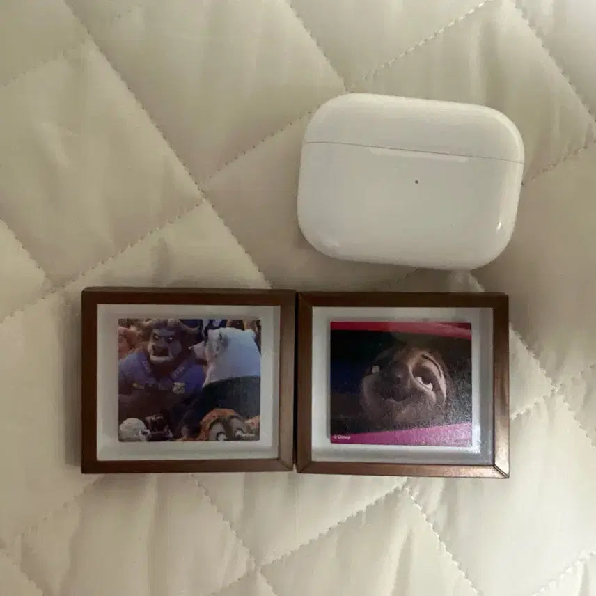 [BUNJANG] Zootopia Character Picture Frames Set of 2 / 주토피아 캐릭터 액자 2개