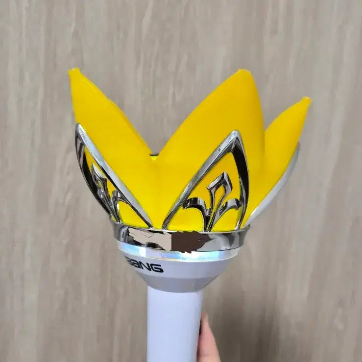 [BUNJANG] Bigbang 10th Anniversary Lightstick / 빅뱅 10주년 응원봉