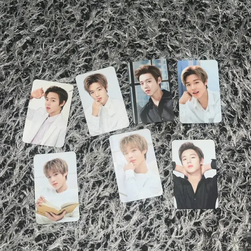 [BUNJANG] Park Ji Hoon 4ever&amp;j lab Photocard Set / 박지훈 4ever&amp;j lab 포토카드 세트