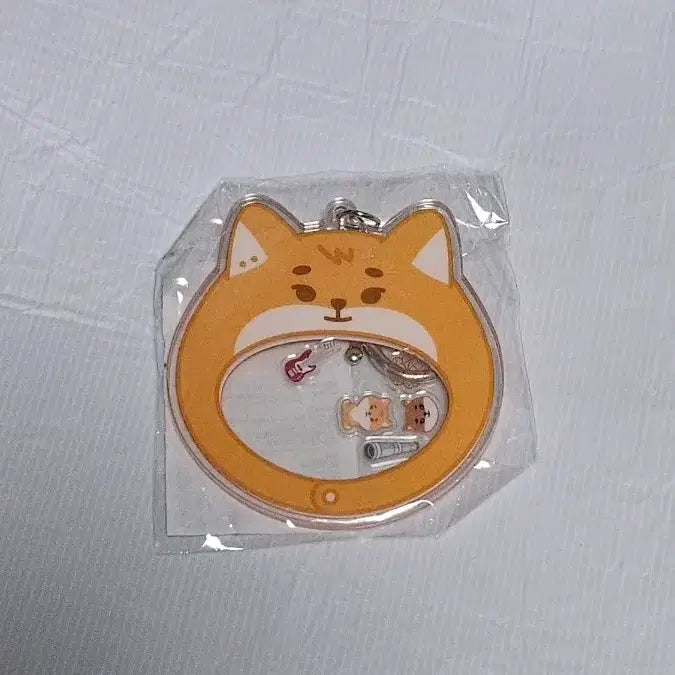 [BUNJANG] Day6 Petit Mels Shaker Keyring / 데이식스 쁘띠멀즈 쉐이커 키링 케