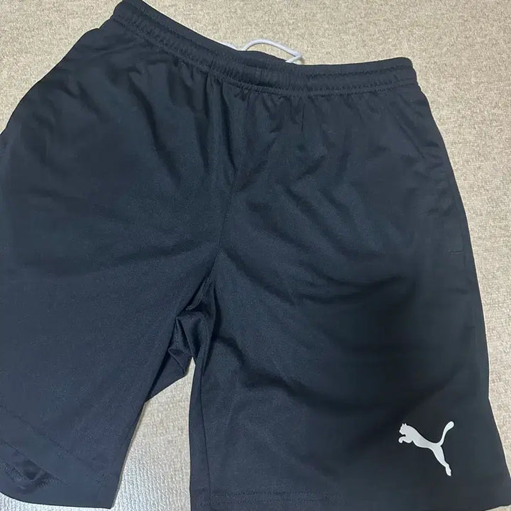 [BUNJANG] Puma Training Shorts / 퓨마 트레이닝 반바지