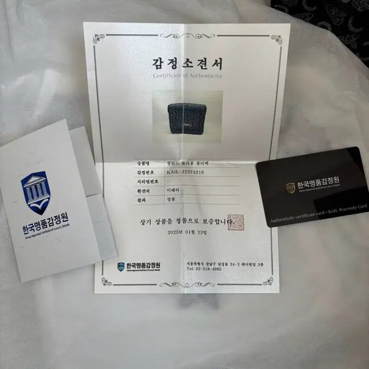 [BUNJANG] Celine Blason Shoulder Bag / (30.5)셀린느 블라종 숄더백