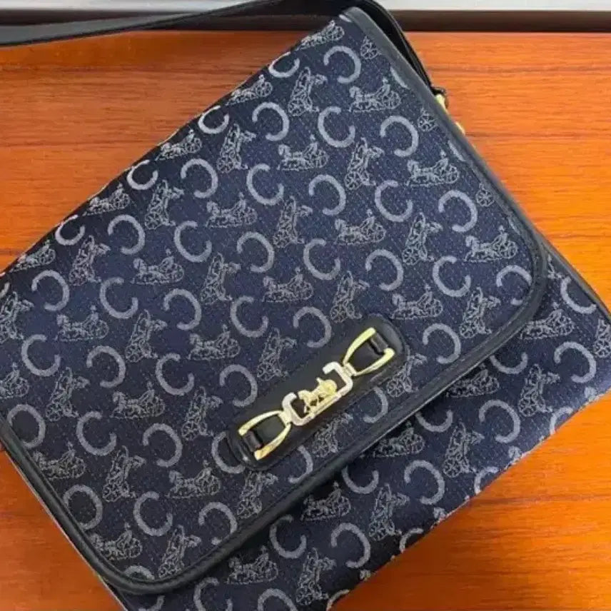 [BUNJANG] Celine Blason Shoulder Bag / (30.5)셀린느 블라종 숄더백