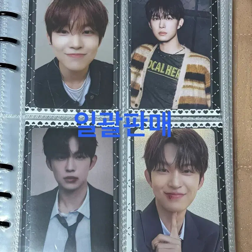 [BUNJANG] Alpha Dry One Kim Gunwoo Photocard Bundle Set / 알파드라이원 알디원 코인목걸이포카 김건우 포카(일괄)