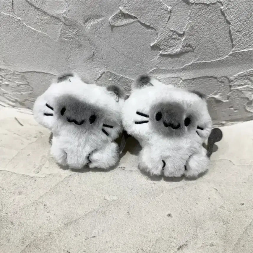 [BUNJANG] Ablly Various Apparel Collection / (모두 만원, 새거) 에이블리 옷 정리!!