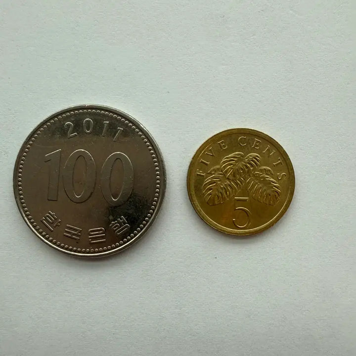 [BUNJANG] Singapore 5 Cent Coin (1989) / 1989년 싱가포르 5센트 동전 S501