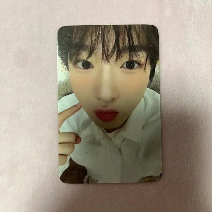 [BUNJANG] NCT Wish Sakuraya Photocard / 송버드 위드뮤 사쿠야 포카 양도 엔시티 위시