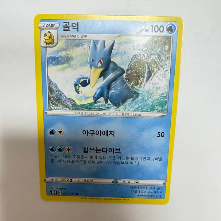 [BUNJANG] Pokemon Gold Duck Card / 골덕 포켓몬카드