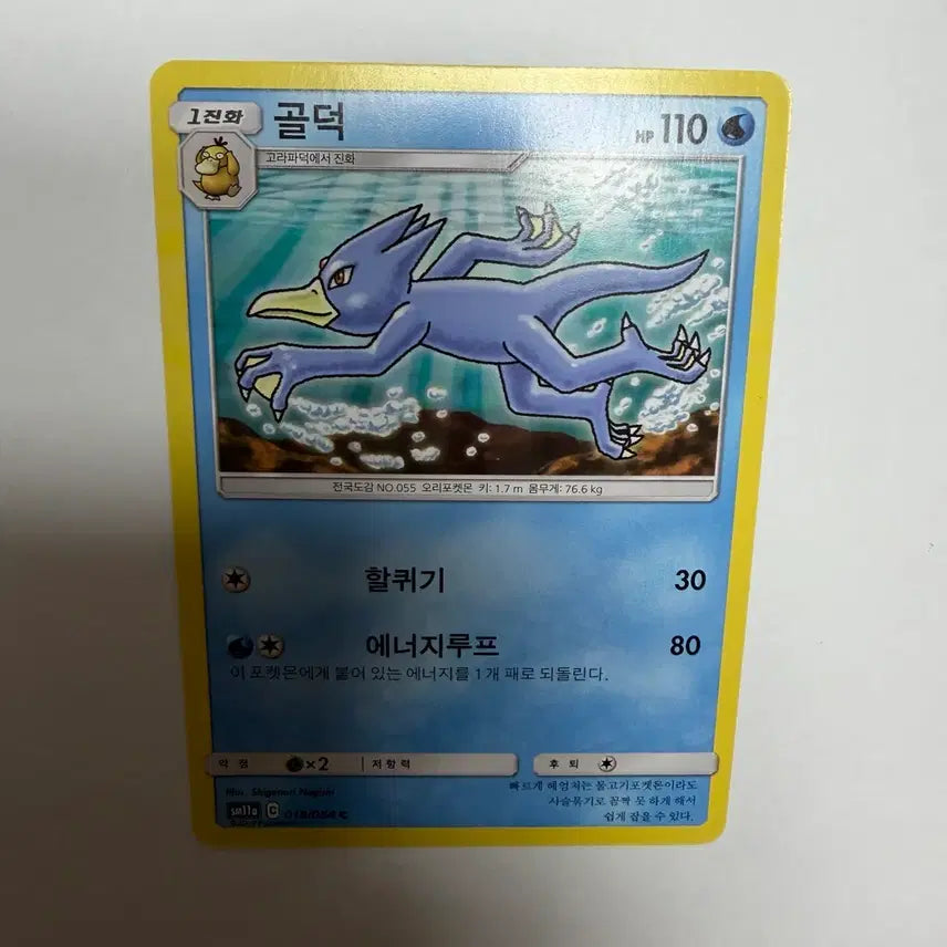[BUNJANG] Pokemon Gold Duck Card / 골덕 포켓몬카드