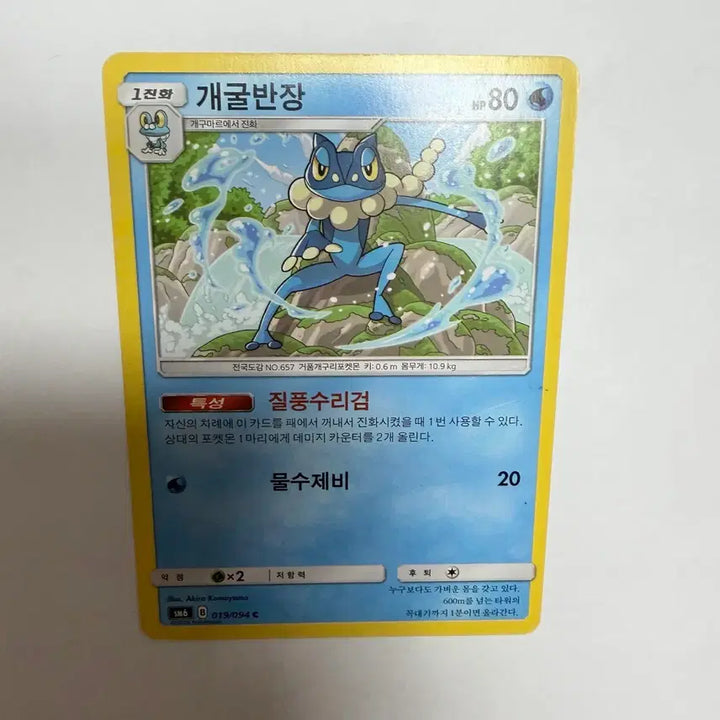 [BUNJANG] Gaegulbanjang Pokemon Card / 개굴반장 포켓몬카드