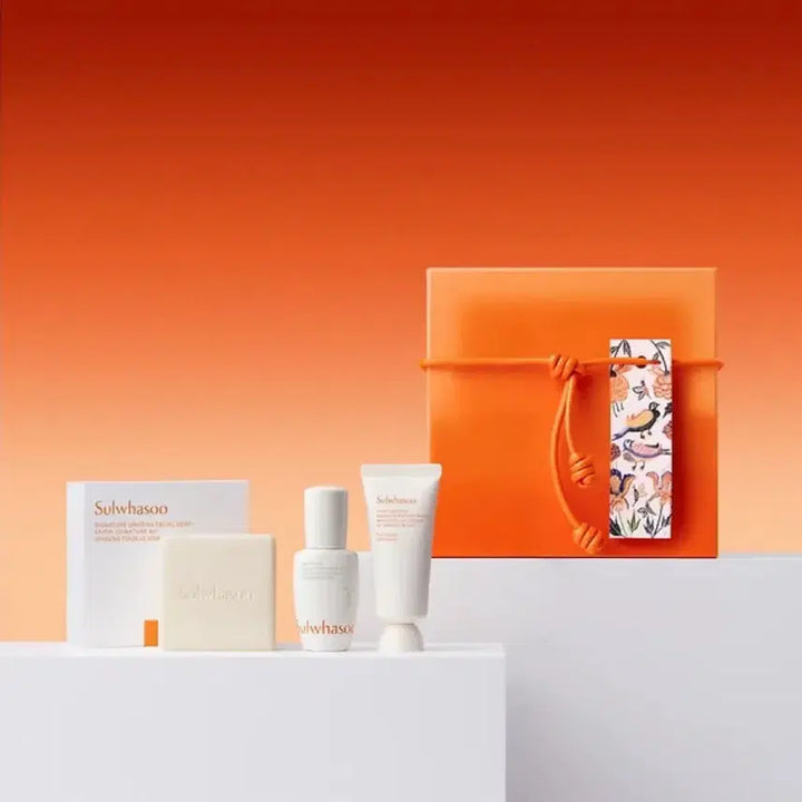 [BUNJANG] Sulwhasoo Gift Set (Sealed) / 설화수 선물세트 (선물포장 미개봉)