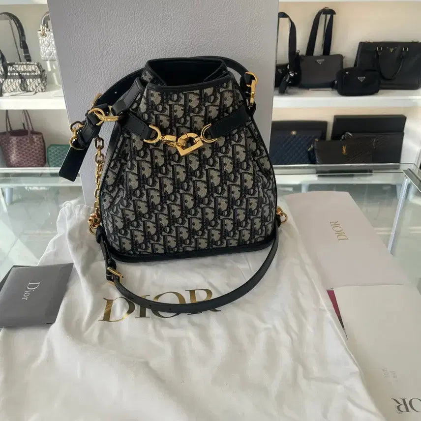 [BUNJANG] Dior CD Medium Oblique Bucket Bag / [정품] 디올 쎄 디올 미듐 오블리크 버킷백