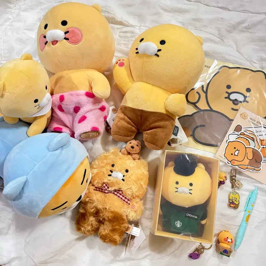 [BUNJANG] Chunsik Bundle Set / 춘식이 인형 굿즈 일괄