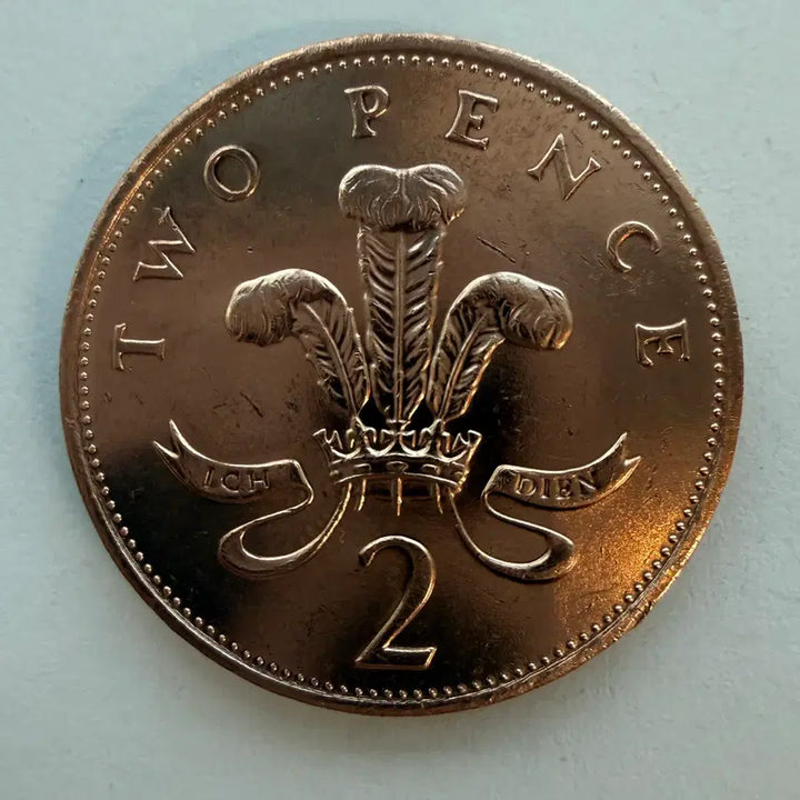 [BUNJANG] Elizabeth II 2 Pence Coin (1990) / 1990년 엘리자베스 2펜스 동전 S533