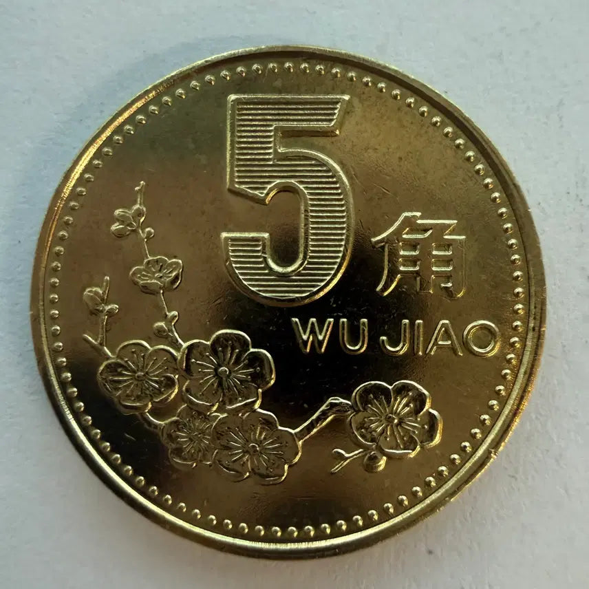 [BUNJANG] Chinese 5 Jiao Coin (1996) / 1996년 중국 5자오 동전 S534