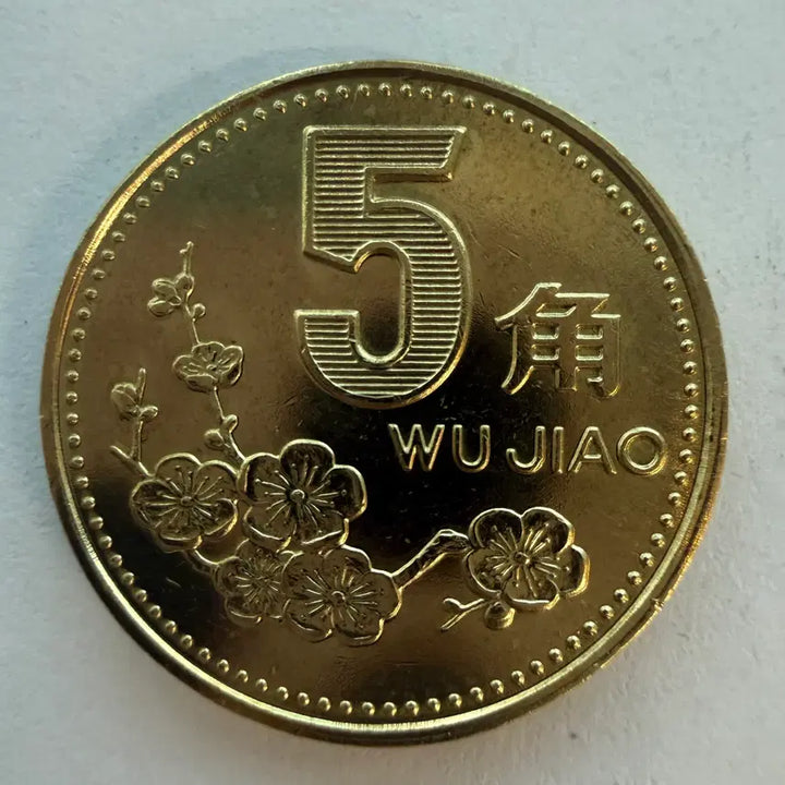 [BUNJANG] Chinese 5 Jiao Coin (1996) / 1996년 중국 5자오 동전 S534