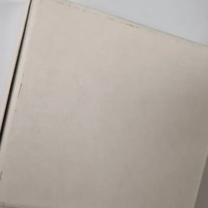 [BUNJANG] eow CRACKER WALLET Mini Bag Silver / eow 이오더블유 CRACKER WALLET 크래커 월렛 미니백 실버