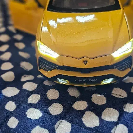 [BUNJANG] Diecast Model Cars 1:24 Scale Collection / 다이캐스트 자동차 모형 컬렉션 1:24 입니다앞에아크릴판열구닫구합니다